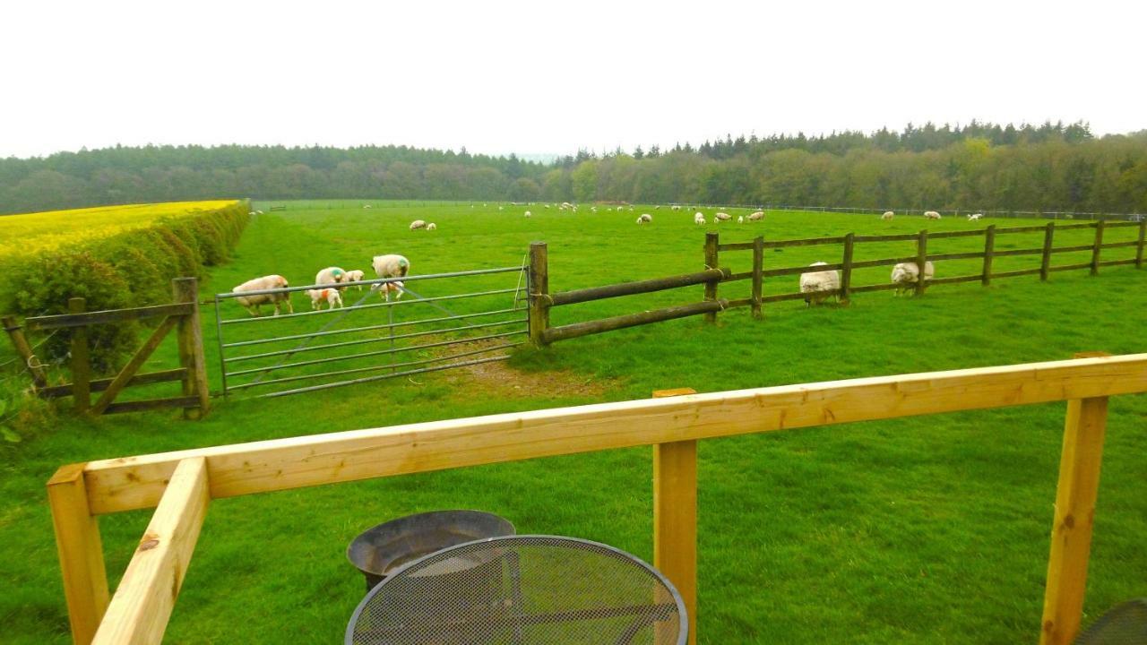 ホテル Shepherd'S Hut ブランドフォード・フォーラム エクステリア 写真